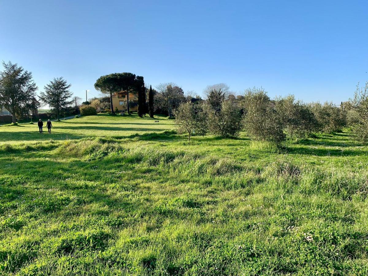 Il Casale Di Gardenia Bed & Breakfast Cesano Exterior foto