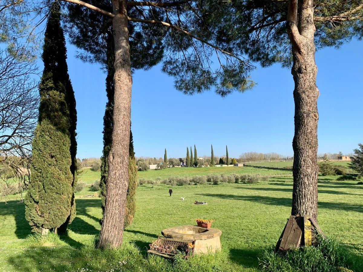 Il Casale Di Gardenia Bed & Breakfast Cesano Exterior foto