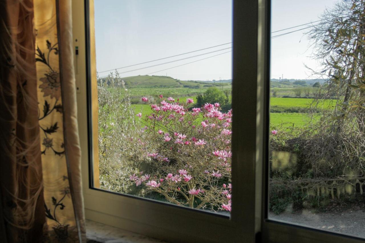 Il Casale Di Gardenia Bed & Breakfast Cesano Exterior foto